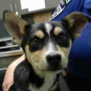 Meet your Posher, Victoria